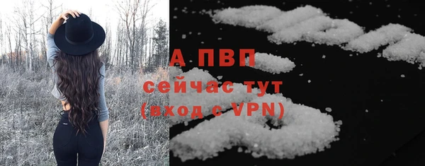 гидра Алексеевка