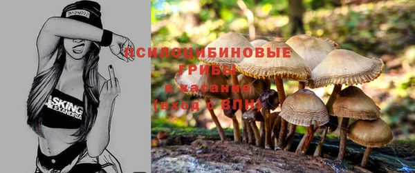 МДПВ Алзамай